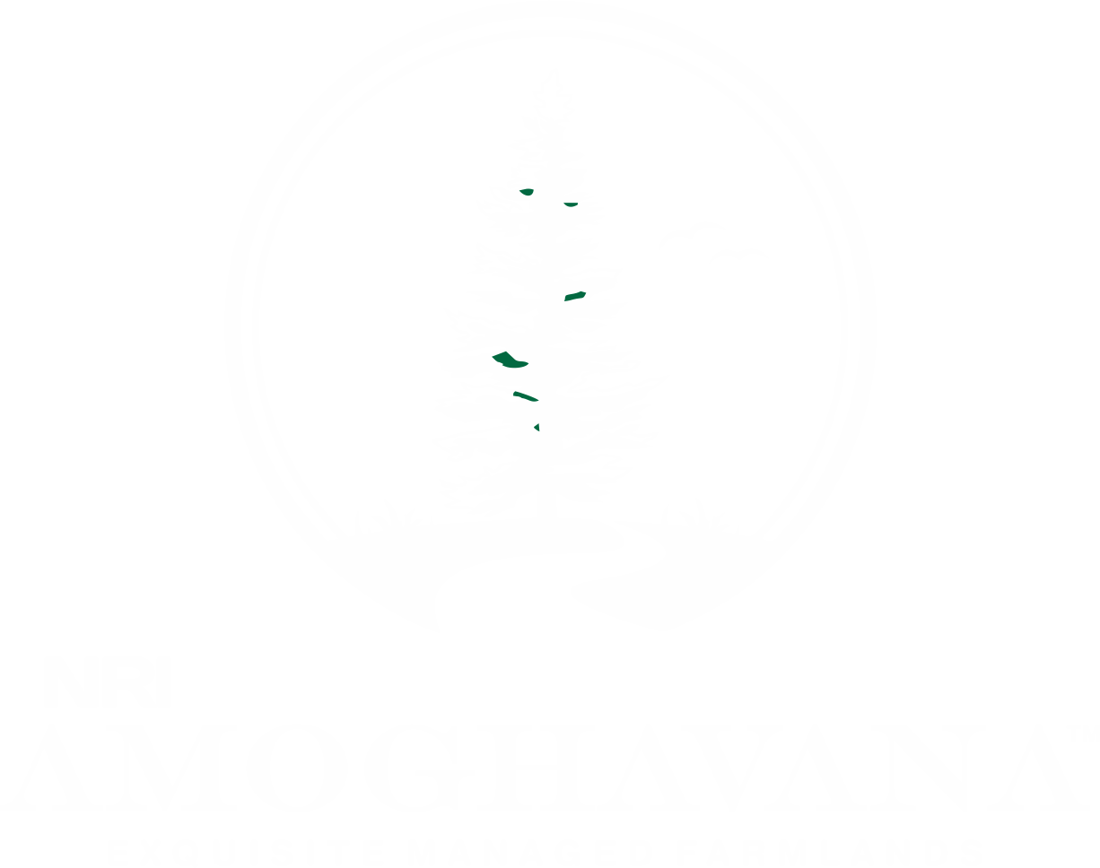 Home amoghavana logo1